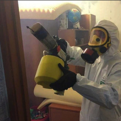 Уничтожение клопов в квартире. поселок Большие Дворы