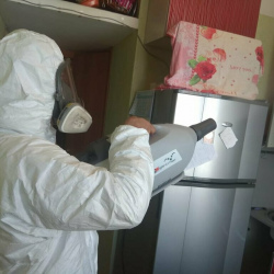 Уничтожение насекомых в квартире. поселок Большие Дворы
